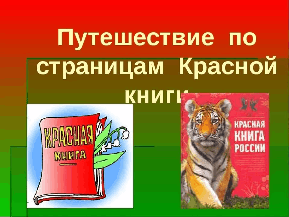 Красная книга для презентации