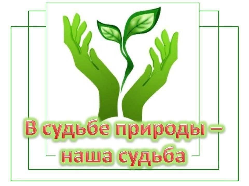 План мероприятий в сельской библиотеке