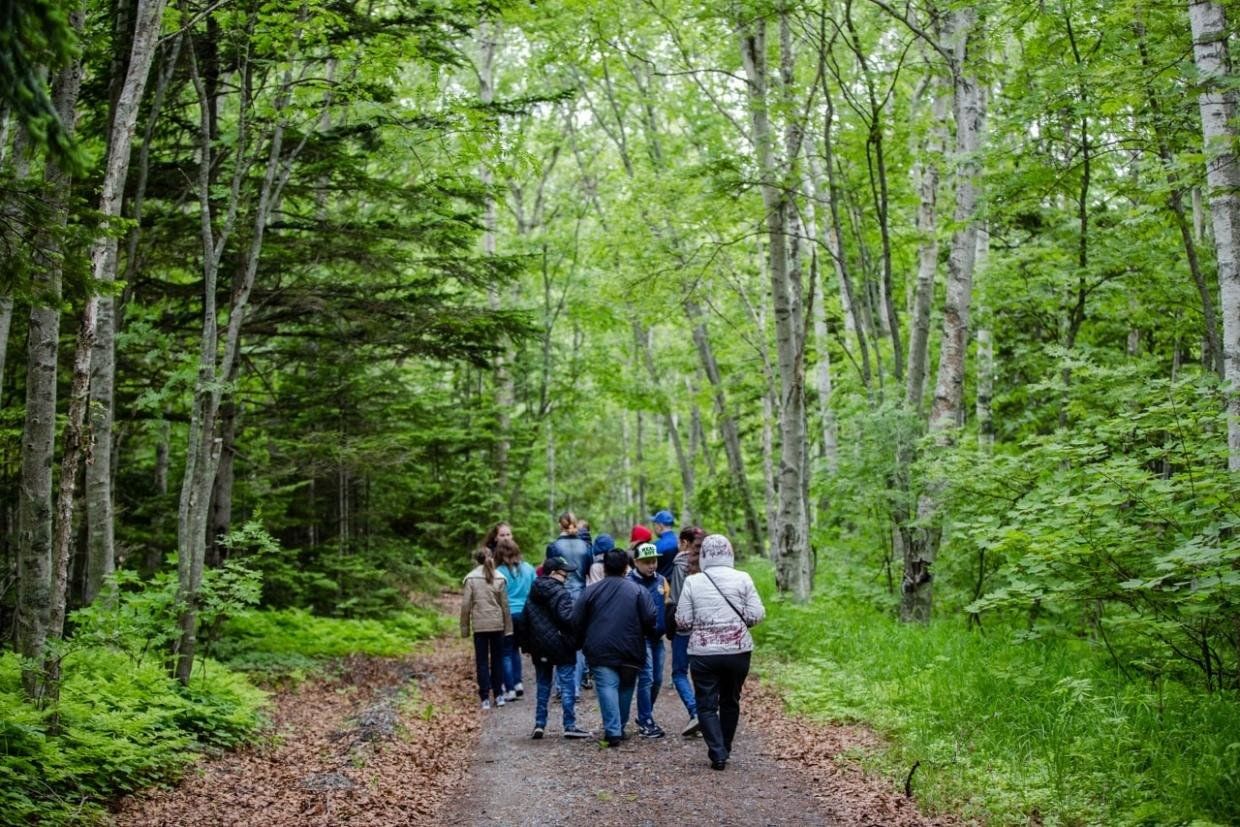 Green trail. Экологический туризм. Экскурсия в лес. Экотуризм в лесу. Экологические экскурсии.