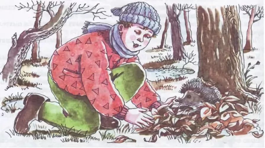 Рисунок воришка скребицкий