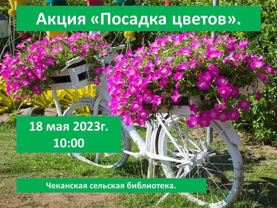 Пересадка цветов 2023