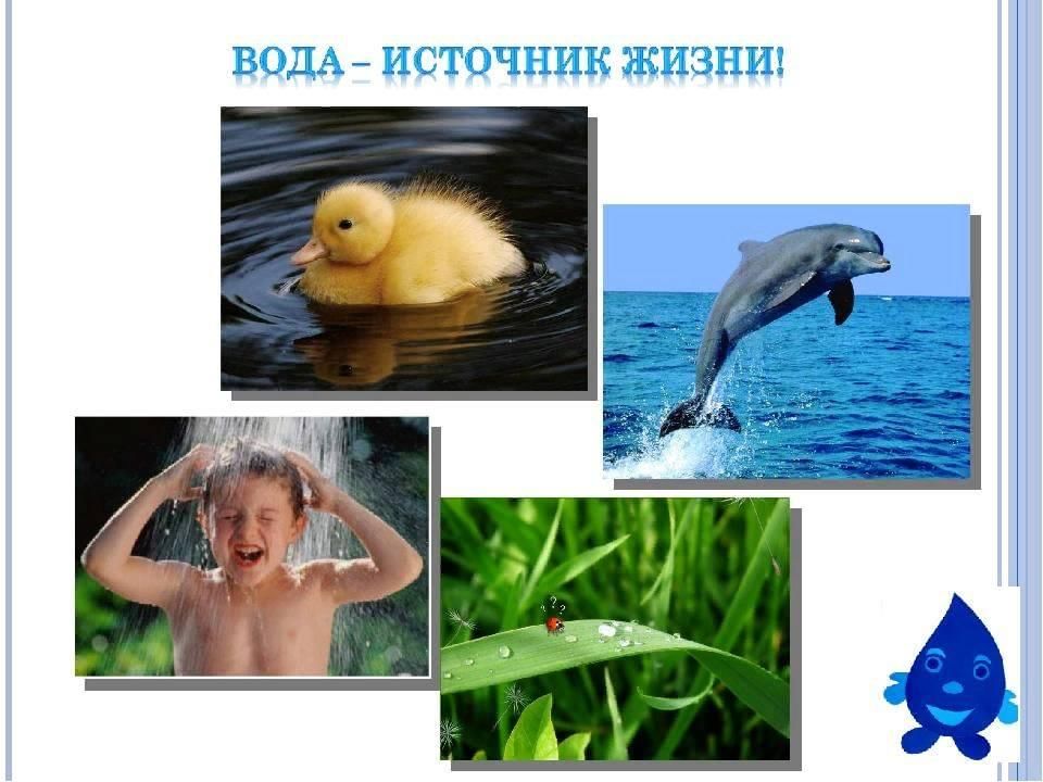 Вода источник жизни картинки для детей