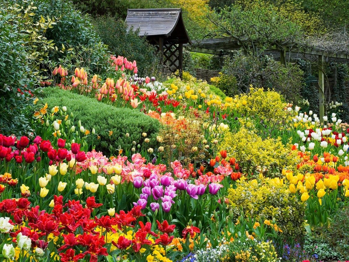 Цветочный сад