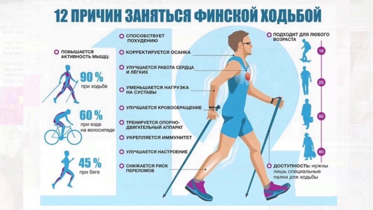 Ходьба что делать. Скандинавская ходьба с палками техника ходьбы. Мышцы задействованные при скандинавской ходьбе.