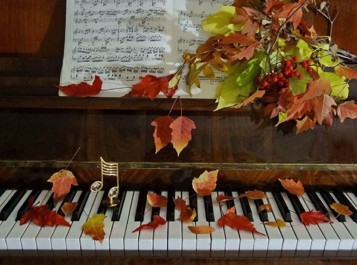 Осень музыка видео. Музыкальные инструменты и осень. Скрипка осень. Осенний блюз. Осенний блюз.