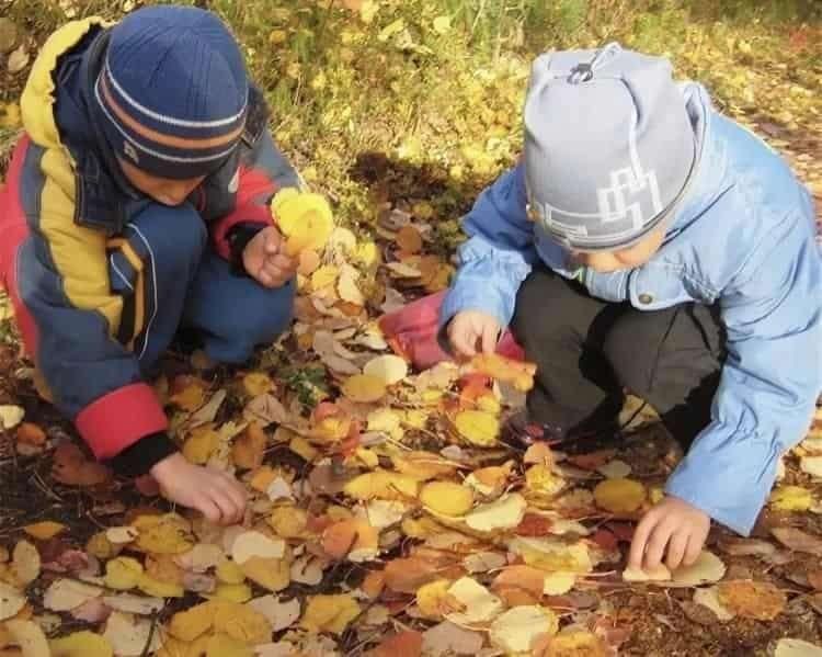 Картинки осенняя прогулка в детском саду