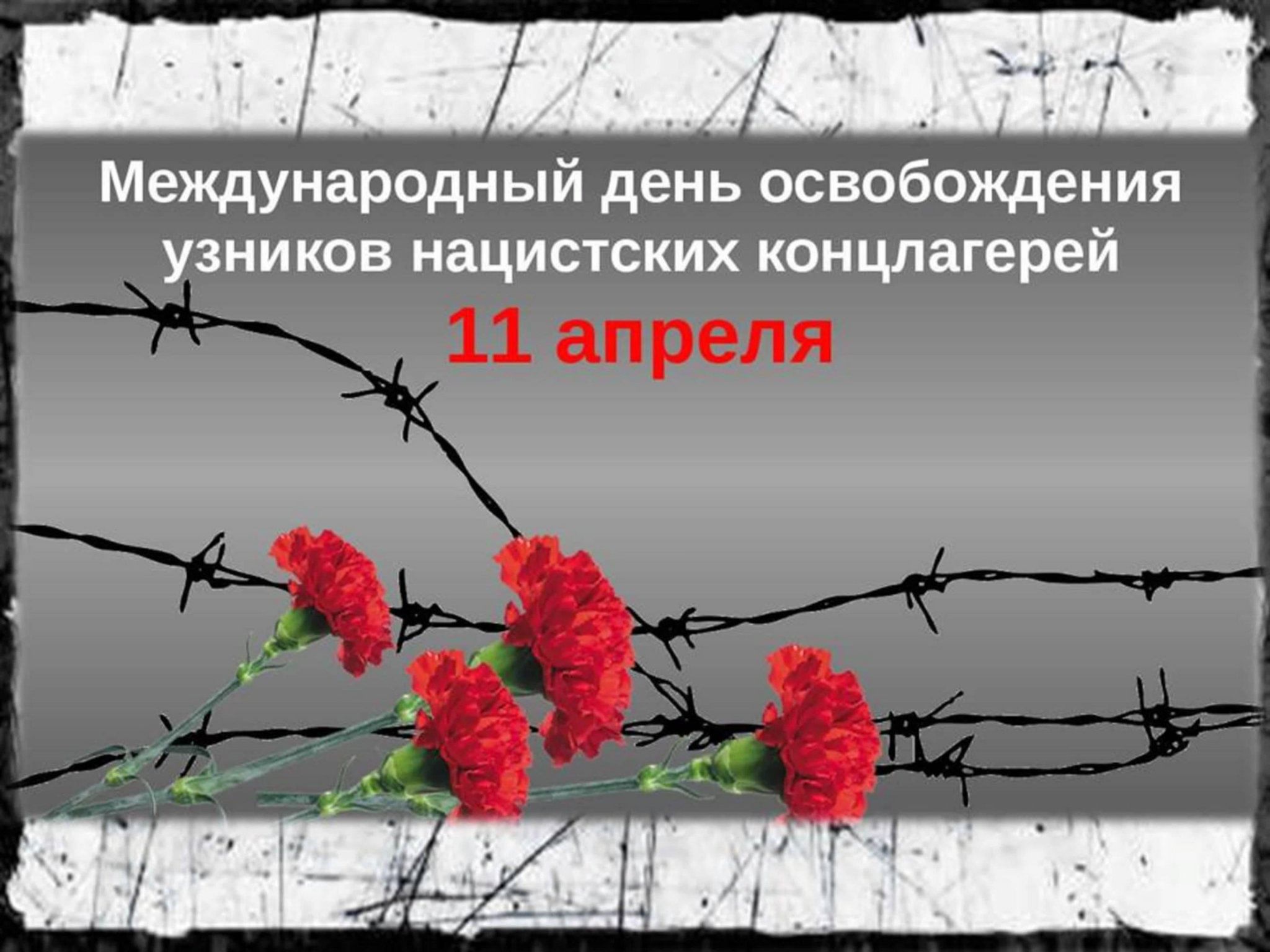 Международный день освобождения узников фашистских концлагерей картинки