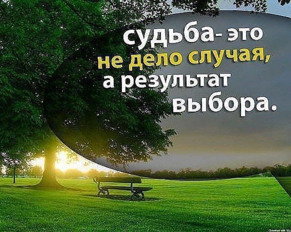 Каждый сам делает свою судьбу примеры