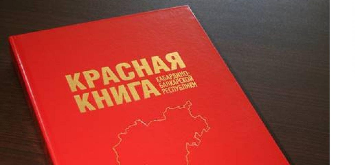 Красная книга дагестана проект