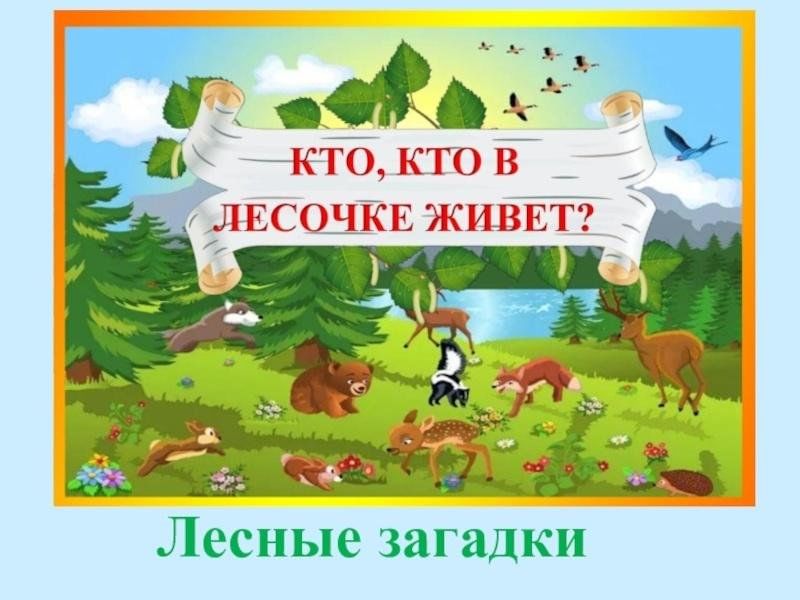 Загадки лесной поляны. Лесные загадки. Загадки про лес. Станция Лесные загадки. Лесные загадки для детей.