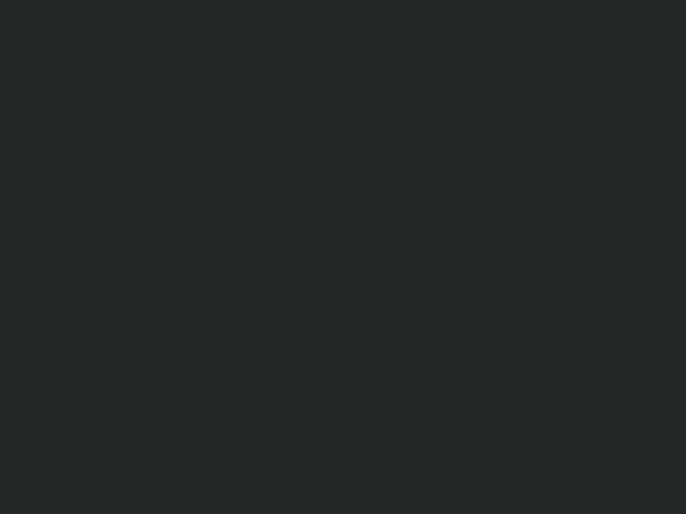 Илья Репин. Самосожжение Гоголя (фрагмент). 1909. Государственная Третьяковская галерея, Москва