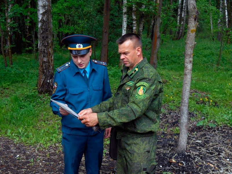 Форма леса. Инспектор лесного хозяйства. Государственный Лесной инспектор. Государственный инспектор леса. Инспектор Лесной охраны.