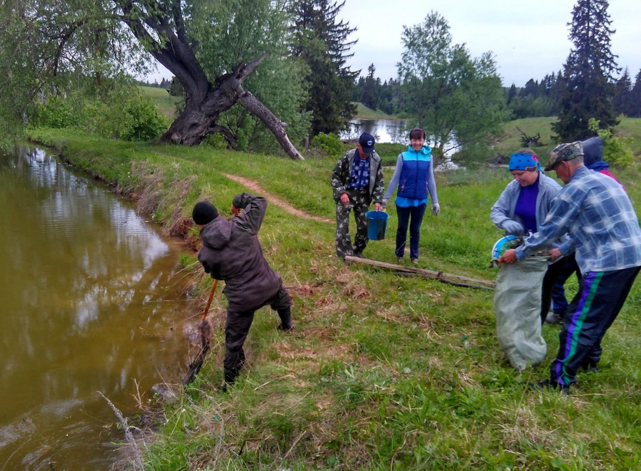 фоторепортаж о проведении акции чистые берега. бобруйск чистый берег. чистый берег логотип. экологическая акция чистый берег. чистые пруды акция.
