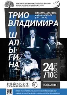 Трио Владимира Шалыгина