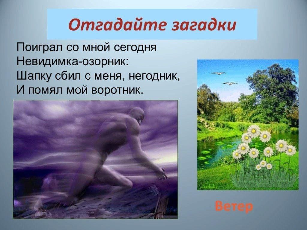 Загадка природы описание. Загадка про фотографа. Загадки фото. Загадка про фотографию.