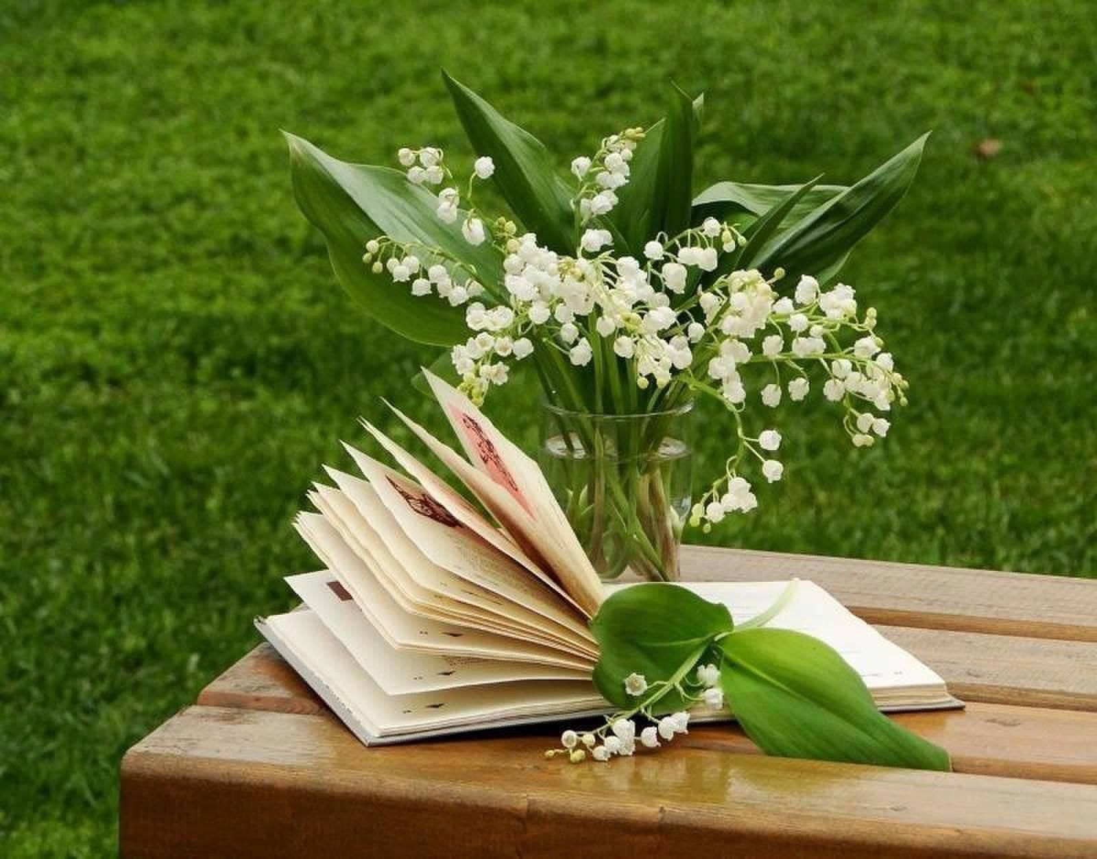 Что почитать весной. День библиотекаря. С днем библиотекаря поздравления. Книга цветы. С днем библиотек.