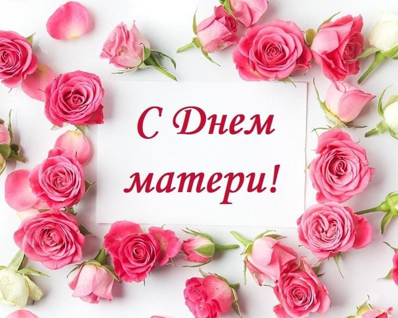 Красивый фон с цветами для поздравления