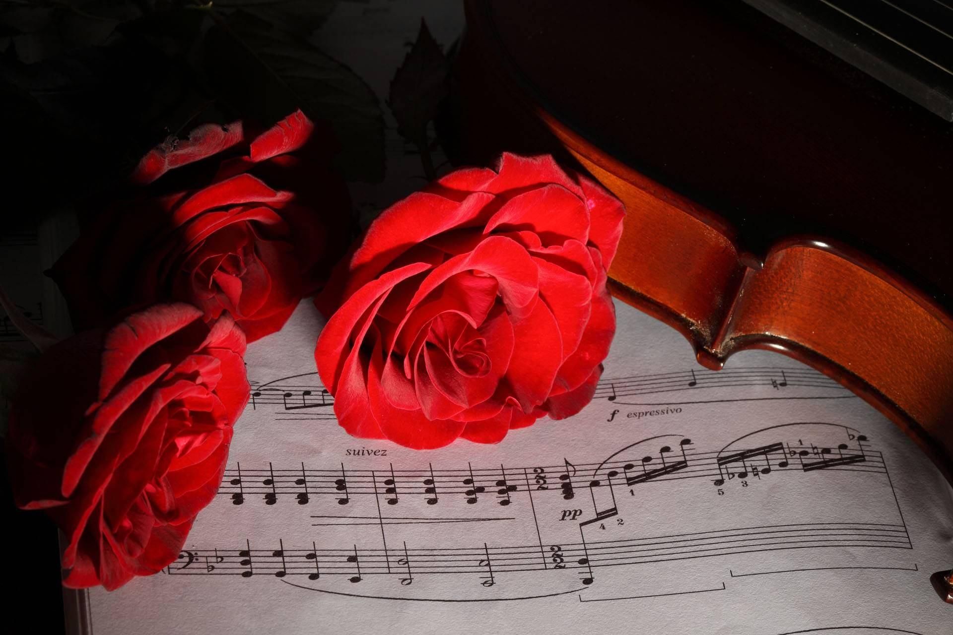 Включи песню цветы. Музыкальный вечер. Ноты и цветы. Литературно-музыкальный вечер. Музыкальный цветок.