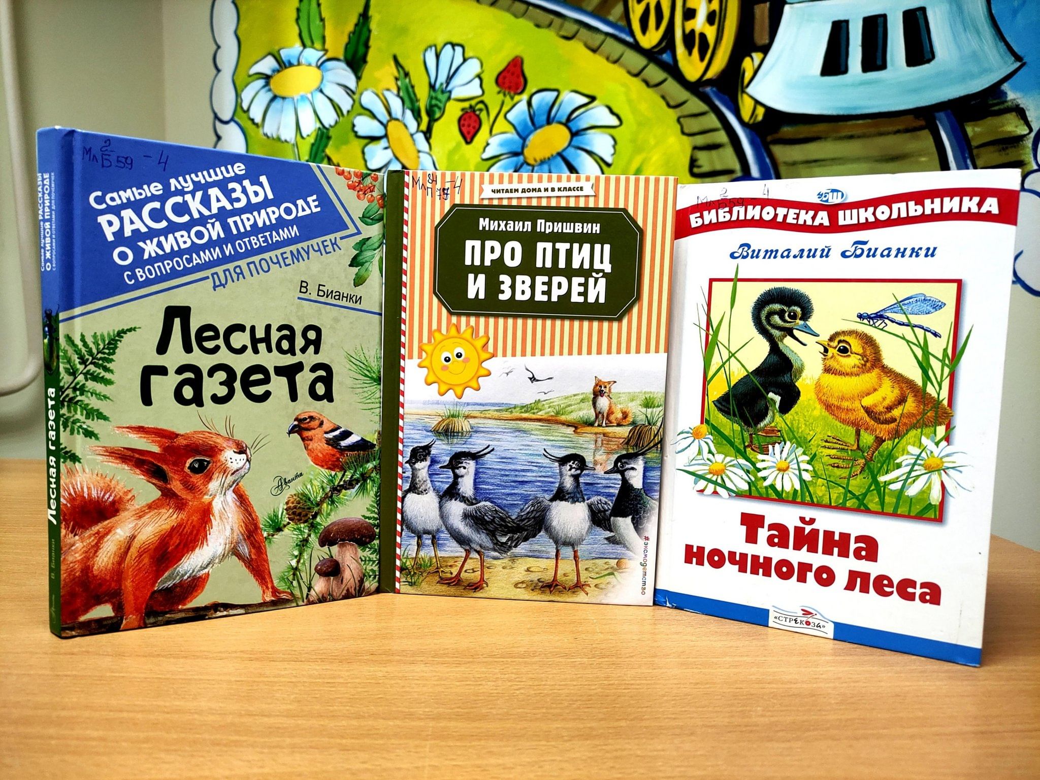 Викторина «Путешествие в лес, полный чудес» 2024, Старый Оскол — дата и  место проведения, программа мероприятия.