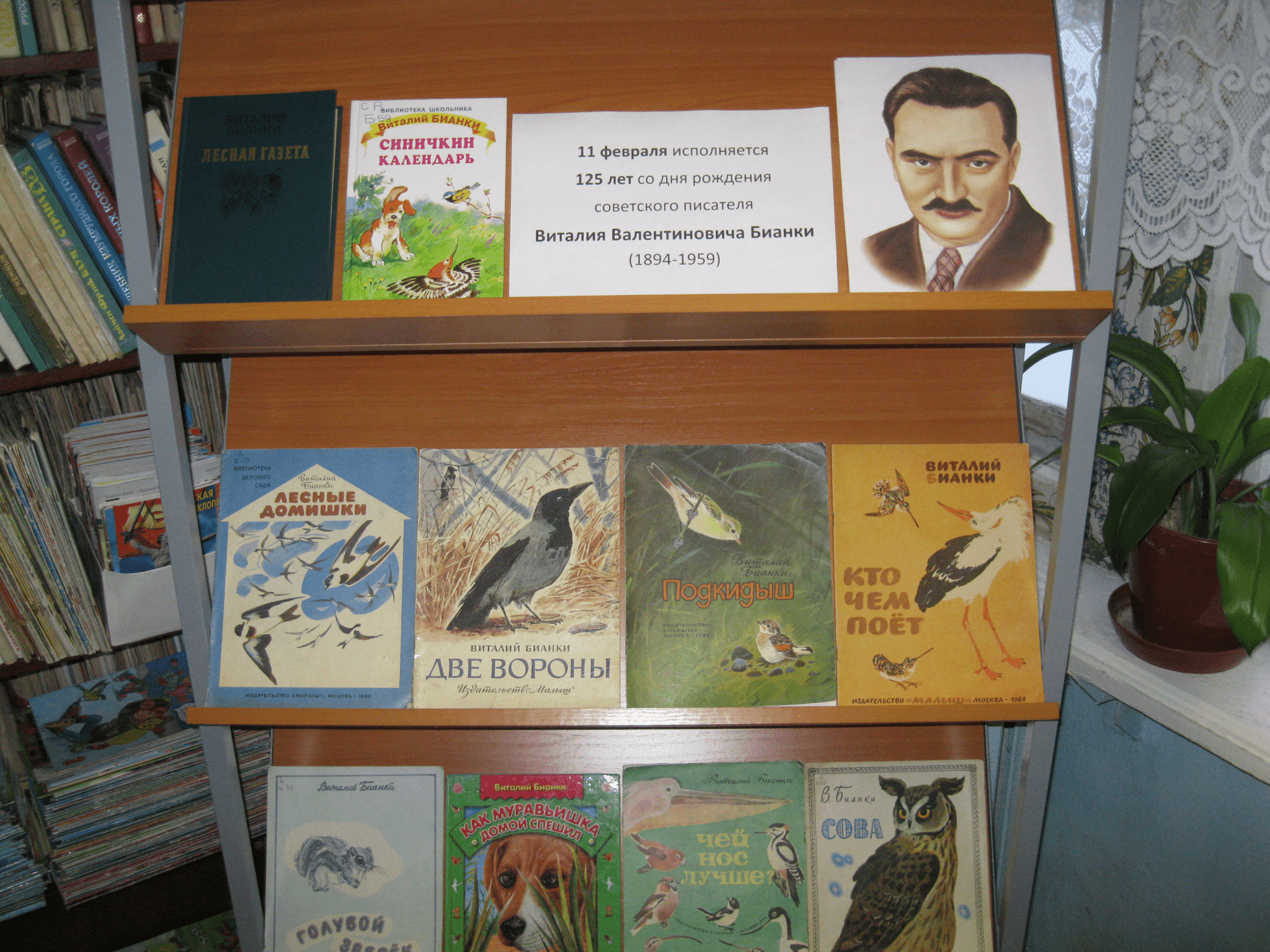 Выставка книг Бианки. Библиотека Виталия Бианки. Лесное путешествие с Виталием Бианки. Выставка книг Бианки для детей.