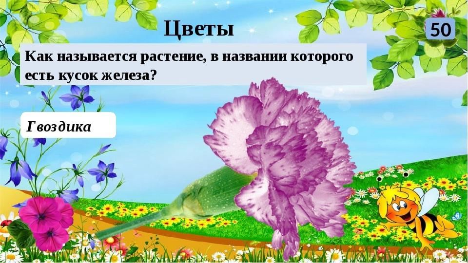 Викторины про лета. Как называется растение в названии которого есть кусок железа. Интерактивная игра растения. Как называется растение викторина. Цветок в названии которого есть кусочек железа.