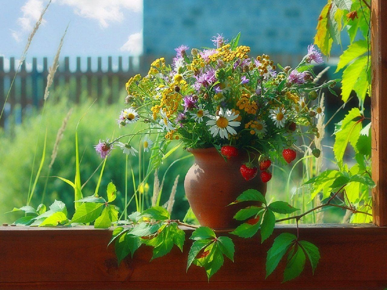Открытка Доброе арбузное утро