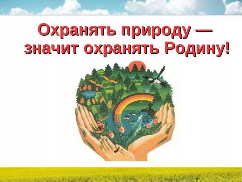 Проект берегите природу родного края