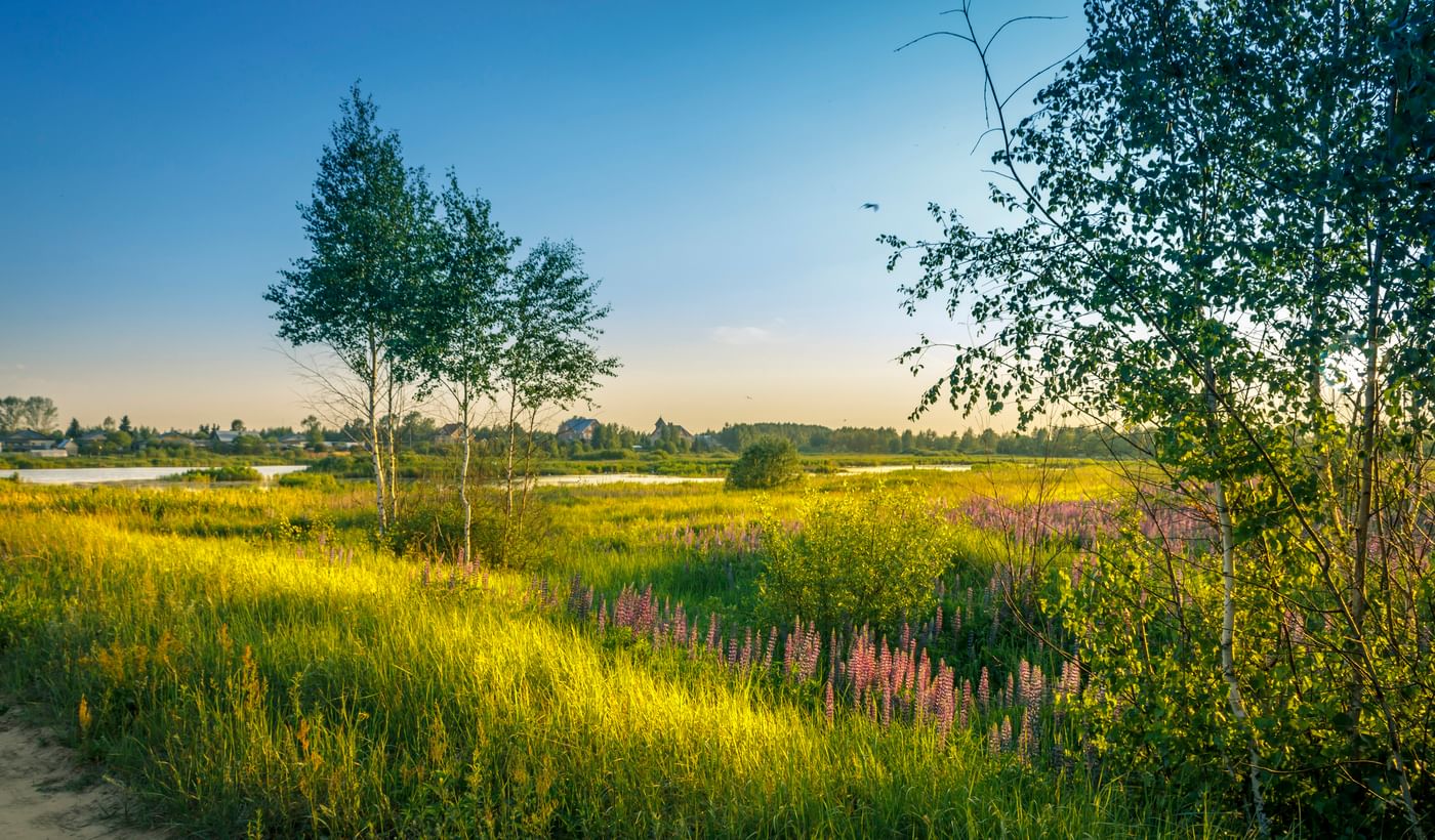 фото родной страны