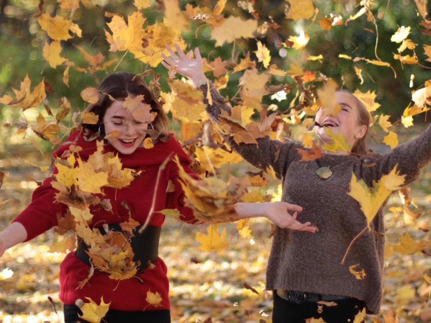 Листья над городом. Осень кружатся листья. Осенние листья кружат. Листья кружатся осенью. Кружение листьев осенних.