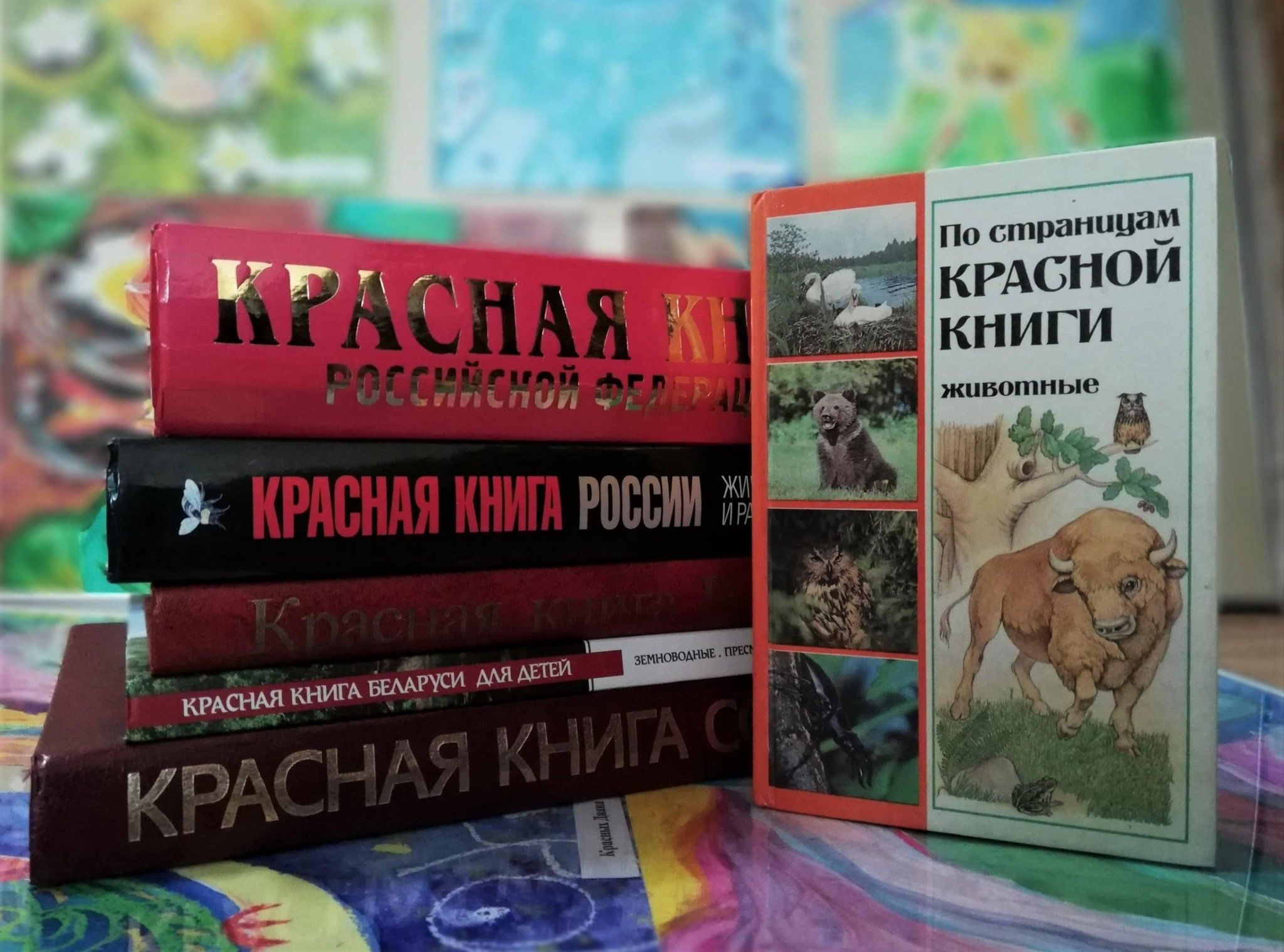 Программа «Экологический турнир» 2023, Черемхово — дата и место проведения,  программа мероприятия.