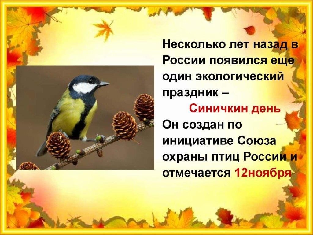 Синичкин день в средней. Экологический праздник Синичкин день 12 ноября. Праздник Синичкин день в детском саду. Синичкин день для детей в детском саду. Выставка Синичкин день в детском саду.