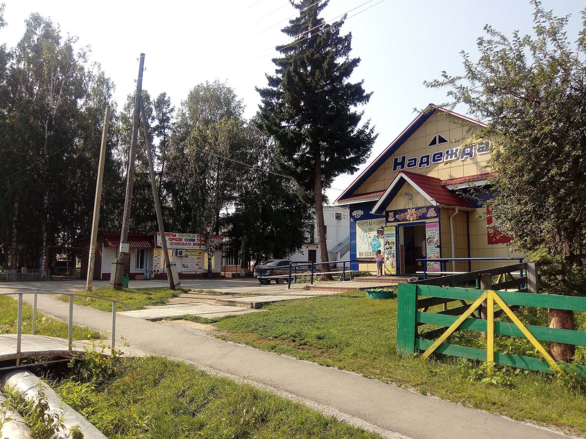 Зырянский район село