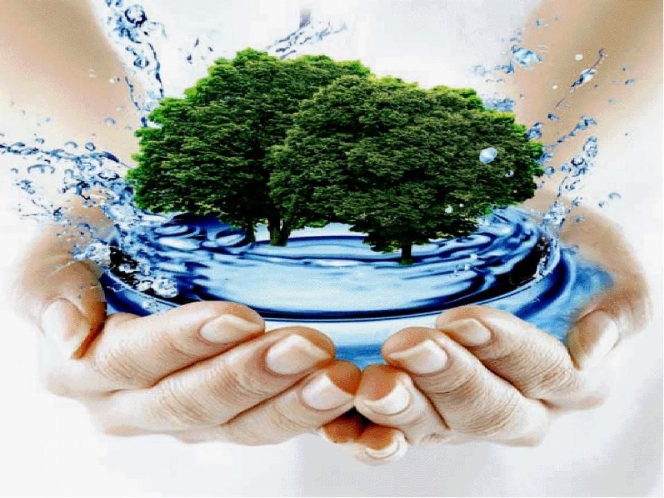 Проект на тему вода это жизнь Экологический час "Вода - основа жизни" 2021, Шуйский район - дата и место прове
