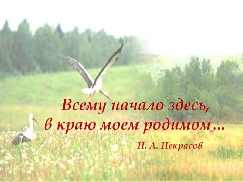 Начало тут. Всему начало здесь в краю Моем родимом. Всему начало здесь в краю родном. Проект всему начало здесь в краю Моем родном. Конкурс всему начало здесь в краю Моем родном.