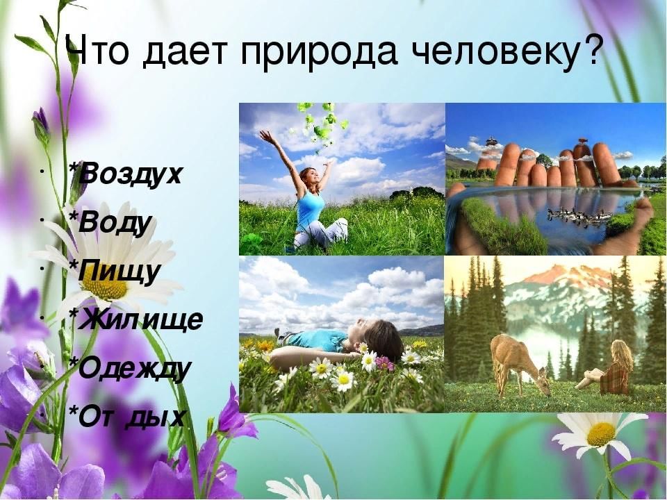 Живая природа приложение. Что дает природа человеку. Что дает природа человеку картинки. Проект человек и природа. Что человек лает природе.