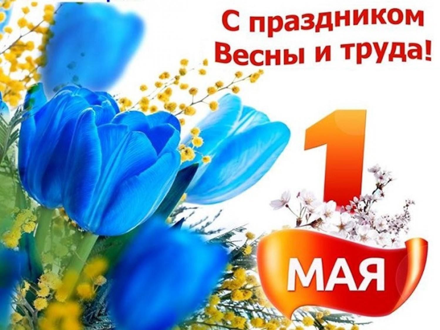 План праздник весны и труда