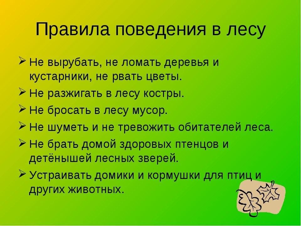 Составить памятку правила поведения в лесу