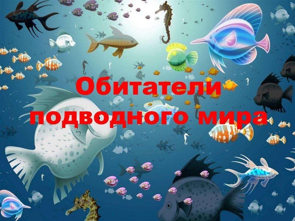 Животные водоемов морей и океанов занятие в подготовительной группе презентация