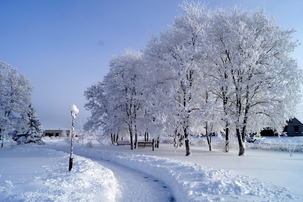 Название фото зима. Современные фотографии зимы. Зима близко фото. Ивня Белгородская область зимой фото. Зима картинка уськачпа.