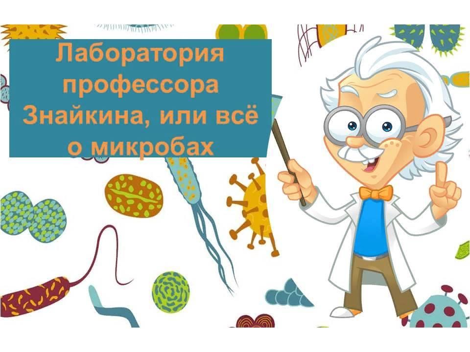 Профессор знайкин картинки