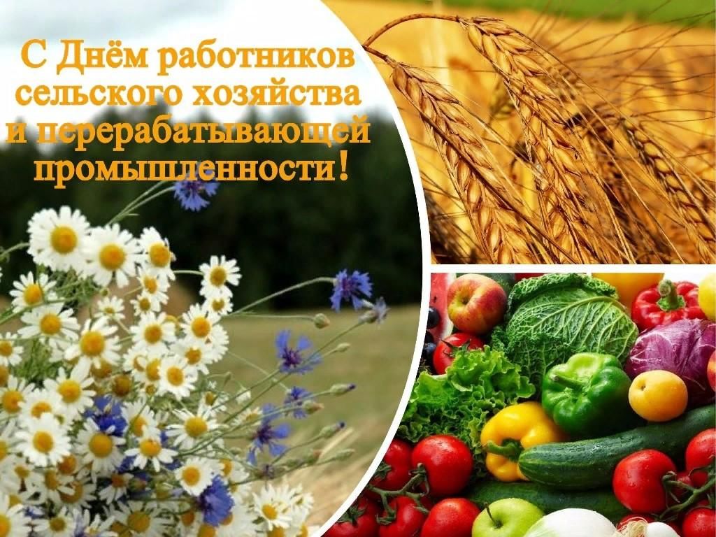 День сельского хозяйства и перерабатывающей промышленности фото С днем сельского хозяйства 2021, Лискинский район - дата и место проведения, про