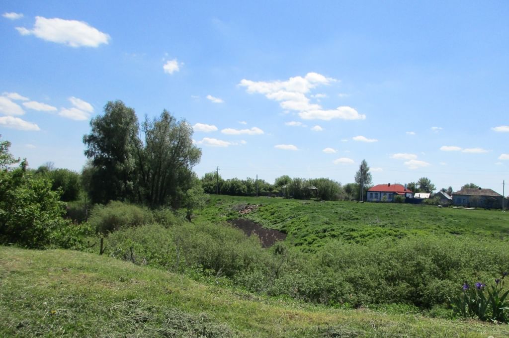 Погода семена александровка. Семено-Александровка Бобровского района. Село Семено Александровка. С Семено Александровка Воронежская область Бобровский район. Семено Александровка Бобровский район лес.