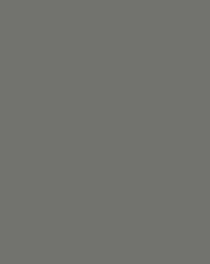 Александр Лактионов. Портрет комсомолки Майи (фрагмент). 1934. Луганский художественный музей, Луганск
