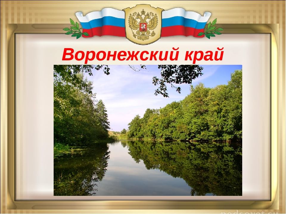 Разнообразие природы родного края 3 класс проект по окружающему миру воронежская область