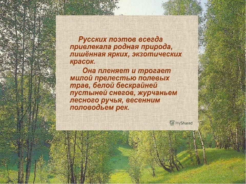 Проект люблю природу русскую