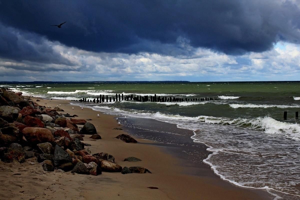 Фото балтийского моря в калининграде сейчас