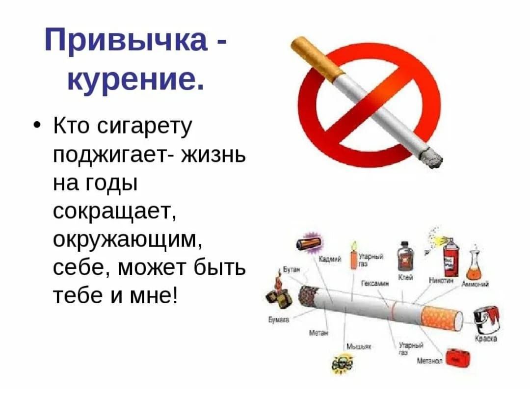Почему нельзя курить пить. Вредные привычки. Вредные привычки сигареты. Вредные привычкикуренние.