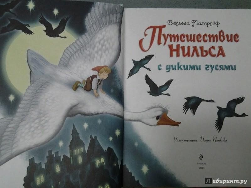 Чудесное путешествие нильса с дикими гусями