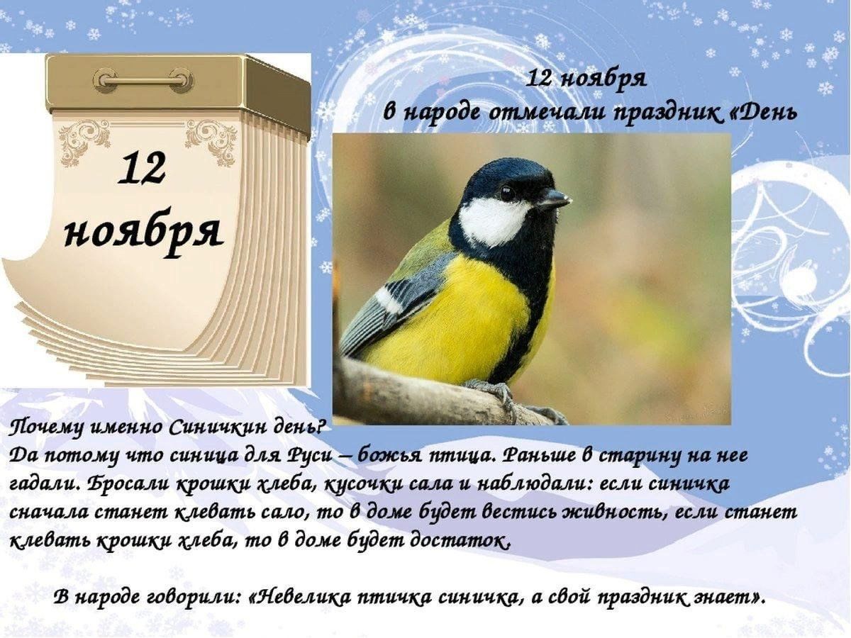 День синички 12 ноября. 12 Ноября Синичкин день день встречи зимующих птиц. Синичкин праздник 12 ноября. Экологический праздник «Синичкин день».