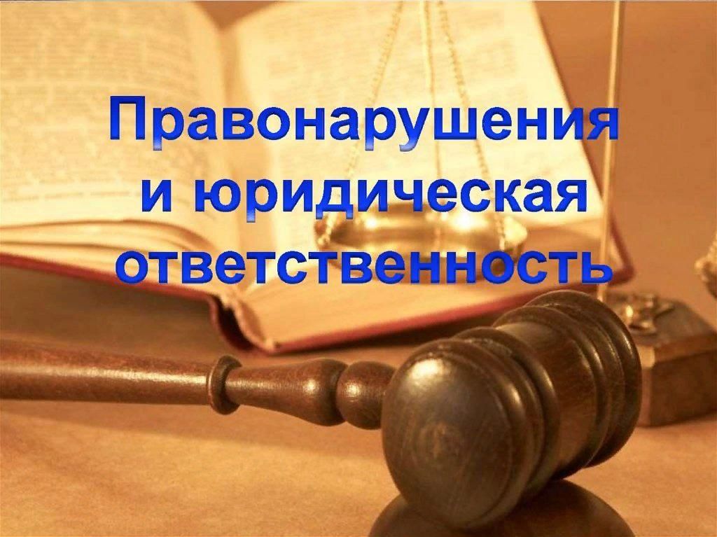 Проект правонарушения и юридическая ответственность